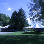 Festival Trois P'tits Points 2015