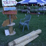 Festival Trois P'tits Points 2015